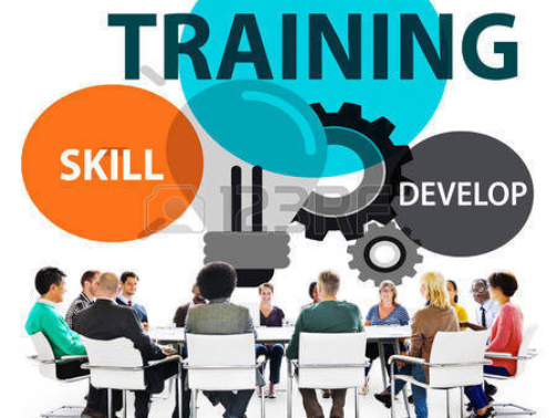 49487351-training-skill-develop-ability-expertise-concept-500x500-1