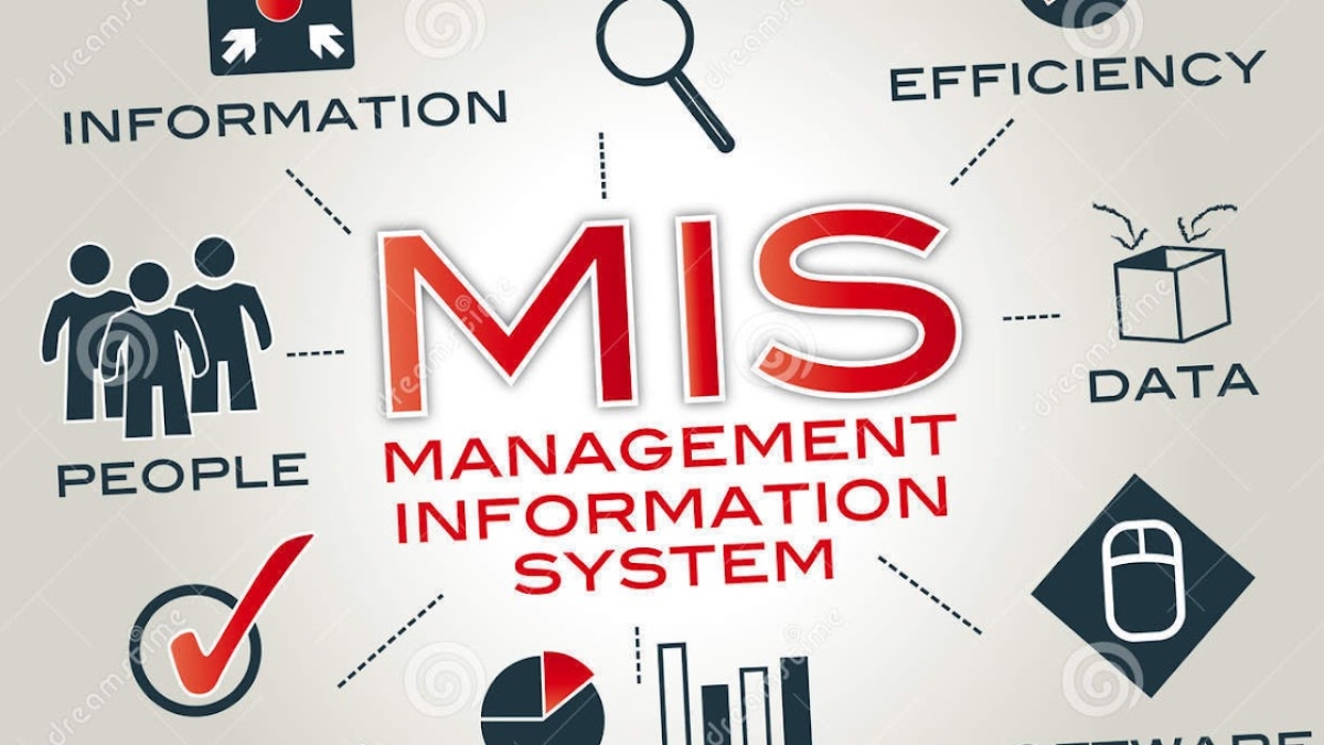 management-information-system-mis-provides-organizations-require-to-manage-themselves-efficiently-effectively-45574142